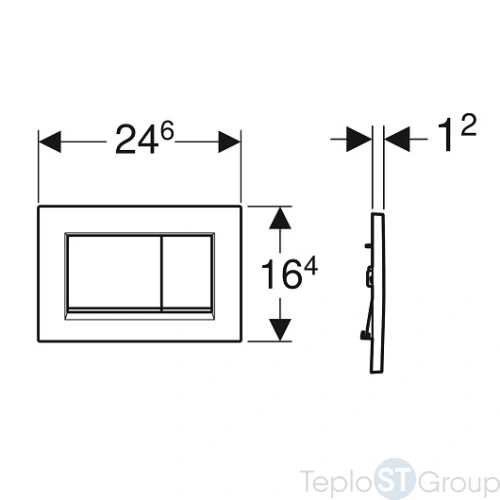 Смывная клавиша GEBERIT Sigma 30 115.883.16.1 черный - купить оптом у дилера TeploSTGroup по всей России ✅ ☎ 8 (800) 600-96-13 фото 3