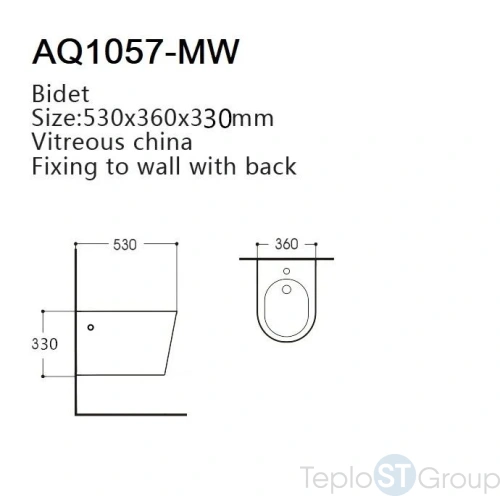 Биде подвесное Aquatek Вега AQ1057-MW - купить с доставкой по России фото 2