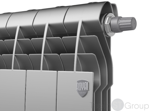 Радиатор Royal Thermo BiLiner 500 /Silver Satin VR - 8 секц. фото 3